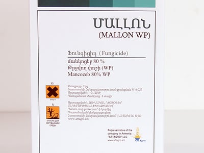 ՄԱԼԼՈՆ (MALLON WP)