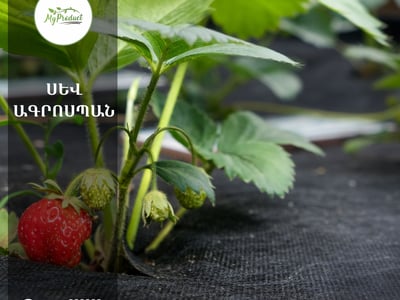Ագրոսպան
