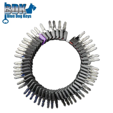 BlueDogKeys – BDFICSET – RV Keys