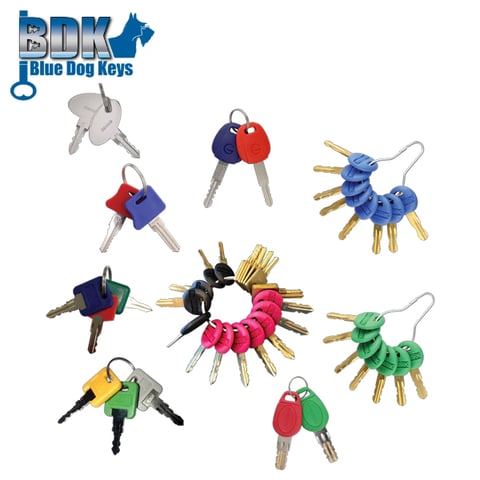 BlueDogKeys – Complete Master Key Package – BDRVMK