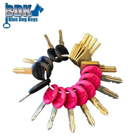 BlueDogKeys – BDTMMK – TriMark Master Key Set – 20 Keys