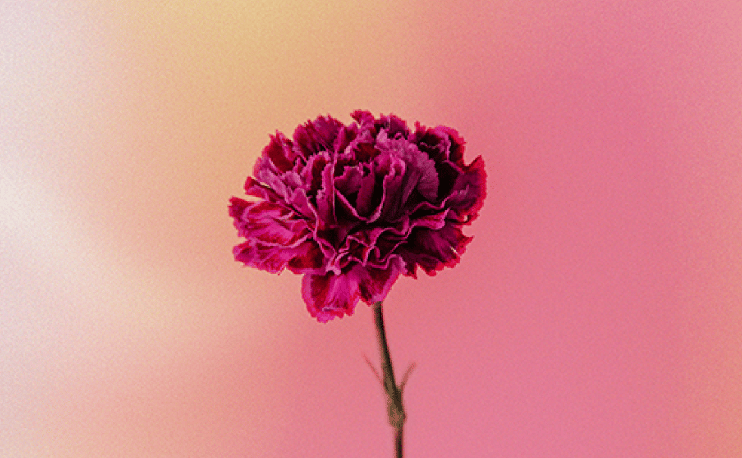 母の日 プレミアム
ラグジュアリー ヘアケアセット