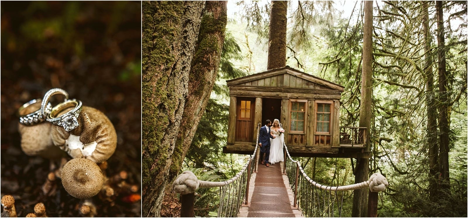 treehouse point elopement in fall city washington in spring with blush pink and navy details , lehenga, cairn, and a bundt cake