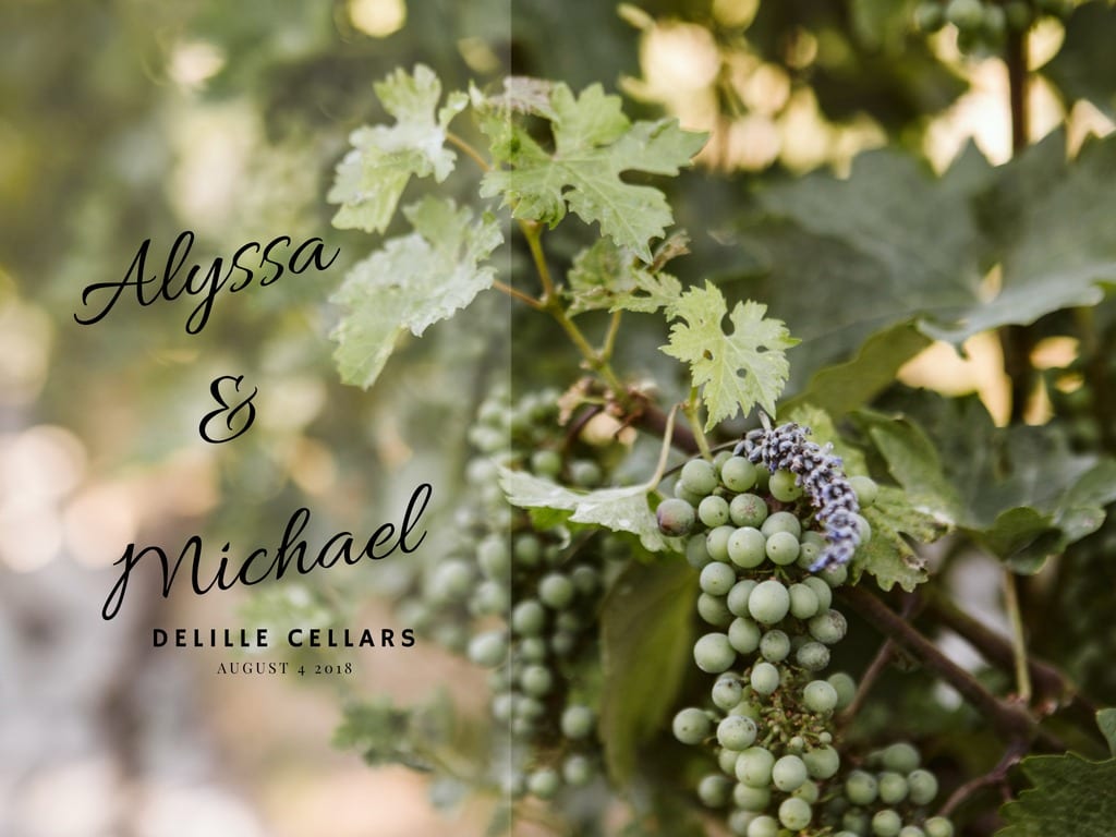 delille cellars woodinville wedding blush pink and gold elegant