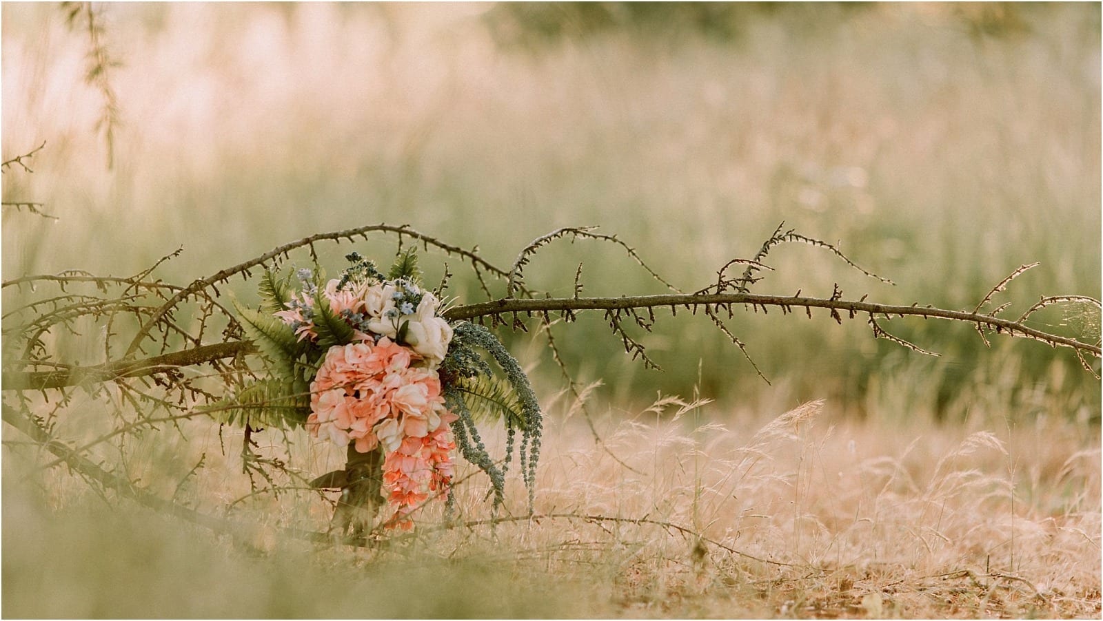 Premier Snohomish & Seattle Wedding Photographer | GSquared Weddings Photography A bouquet of pink and white flowers with greenery rests against a thorny branch in a sunlit, grassy field, creating a soft, dreamy atmosphere—perfect for a Snohomish or Seattle wedding engagement. 47.9129° N, 122.0982° W | Serving Snohomish, Seattle , Orlando & Beyond