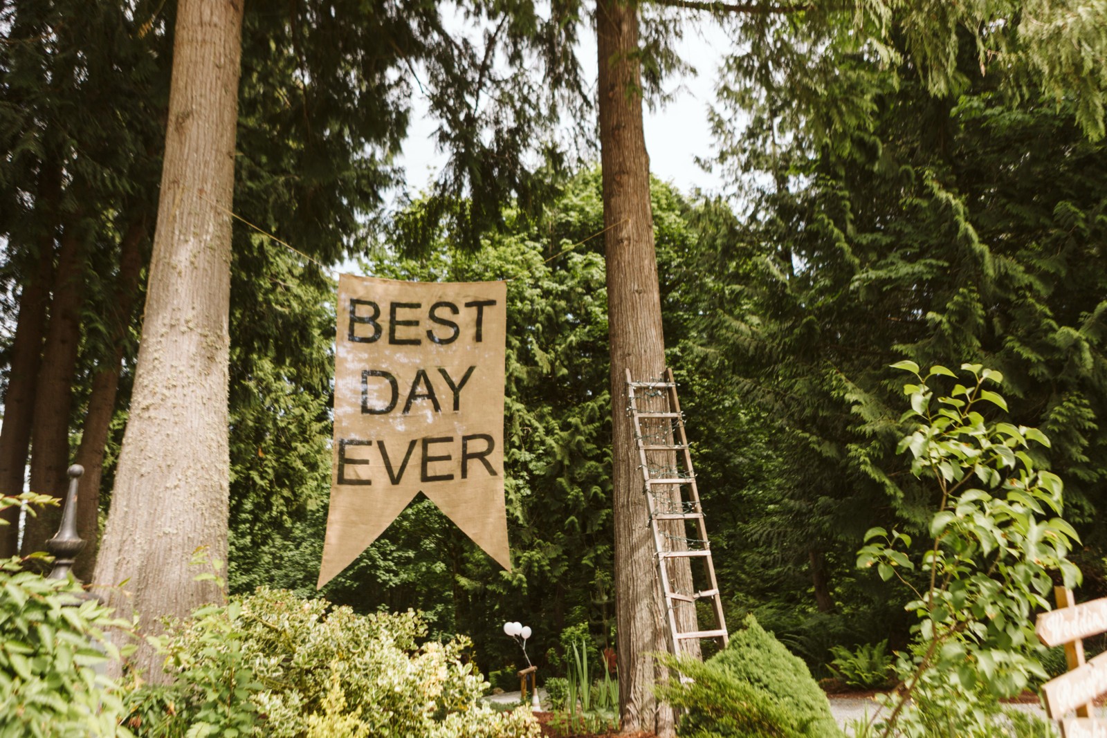Premier Snohomish & Seattle Wedding Photographer | GSquared Weddings Photography A burlap banner reading BEST DAY EVER hangs between two tall trees in a lush, green forest—perfect for a dreamy Snohomish Seattle wedding or engagement. A metal ladder leans against one tree, surrounded by vibrant plants. 47.9129° N, 122.0982° W | Serving Snohomish, Seattle , Orlando & Beyond