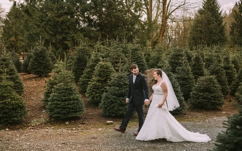 A bride in a white dress and veil walks hand in hand with a groom in a dark suit through a field of evergreen trees both smiling and looking at each othercapturing the magic often found at beautiful Snohomish wedding venues Snohomish Wedding Photography A bride in a white dress and veil walks hand in hand with a groom in a dark suit through a field of evergreen trees both smiling and looking at each othercapturing the magic often found at beautiful Snohomish wedding venues Snohomish Wedding Photography