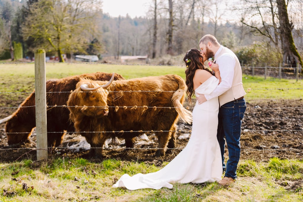 A bride and groom embrace by a fence at one of the charming Washington wedding venues with Highland cows grazing in a muddy pasture behind them The sun shines on their special day surrounded by trees and fields Snohomish Wedding Photography A bride and groom embrace by a fence at one of the charming Washington wedding venues with Highland cows grazing in a muddy pasture behind them The sun shines on their special day surrounded by trees and fields Snohomish Wedding Photography
