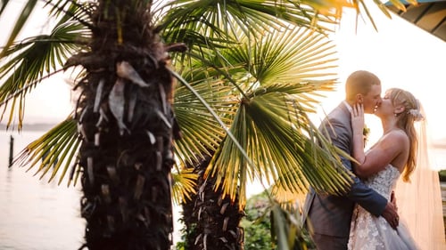 A bride and groom share a kiss at sunset by a palm tree near the water Sunlight shines through the leaves capturing the romance often found at affordable Snohomish wedding venues Snohomish Wedding Photography A bride and groom share a kiss at sunset by a palm tree near the water Sunlight shines through the leaves capturing the romance often found at affordable Snohomish wedding venues Snohomish Wedding Photography