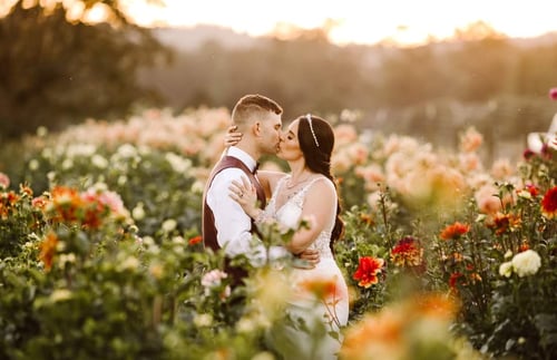A bride and groom embrace and share a kiss in the middle of a colorful flower garden at sunset surrounded by blooming flowers with soft golden light in the background Snohomish Wedding Photography A bride and groom embrace and share a kiss in the middle of a colorful flower garden at sunset surrounded by blooming flowers with soft golden light in the background Snohomish Wedding Photography