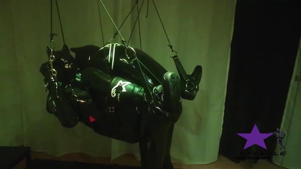 Rubber puppies playing in a sling