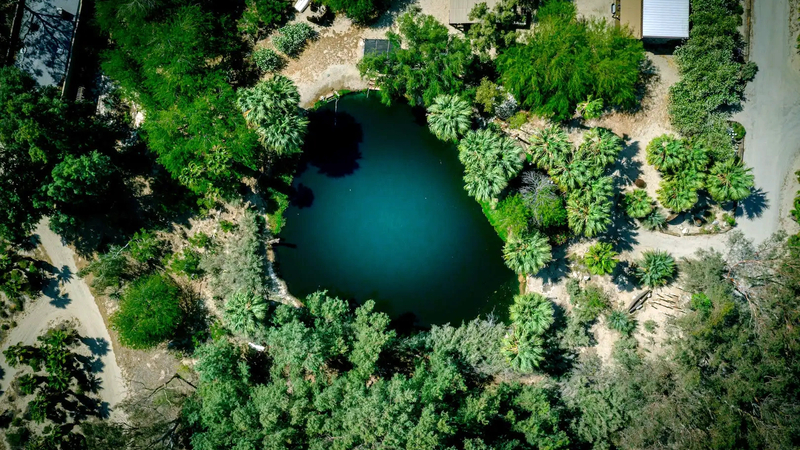 Natural oasis lake at Bubbling Wells Oasis geothermal mineral springs