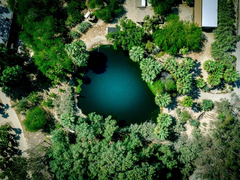 Oasis Lake