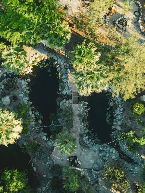Hot springs at the property