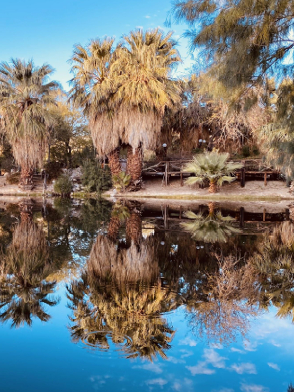 Oasis lake in Yerxa Town