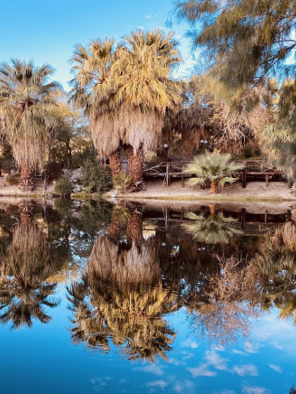 Oasis lake in Yerxa Town