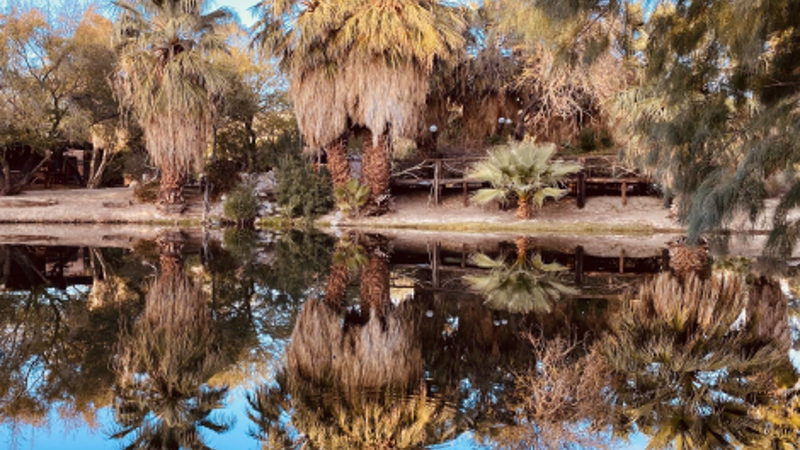 Oasis lake reflection at Bubbling Wells Oasis Desert Hot Springs geothermal property