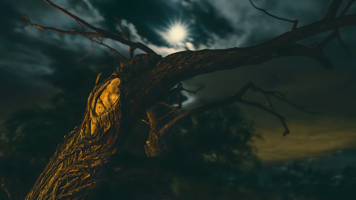 Dramatic nighttime tree silhouette