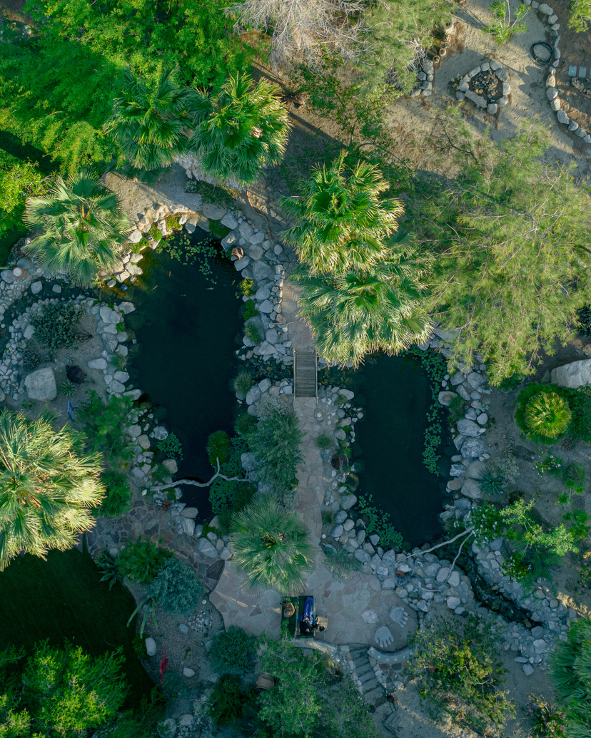 Romantic couple sharing their first look at Bubbling Wells Oasis