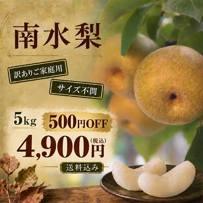 果汁たっぷりでずっしりと重く、食べ応え抜群の南水梨