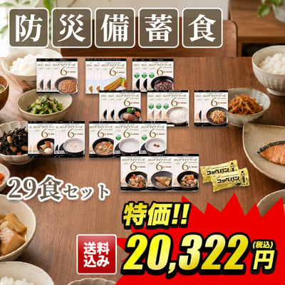 多種多様な食品が入った防災備蓄食セット29食