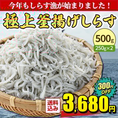 今年のしらす漁スタート♪極上釜揚げしらすが特別価格！！