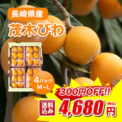 長崎県産茂木びわ４パックM～L