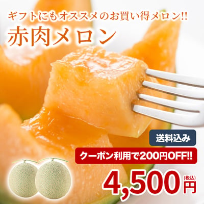 北海道の大自然か育んだ絶品メロン