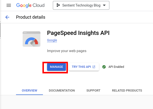 Enable PageSpeed Insights API