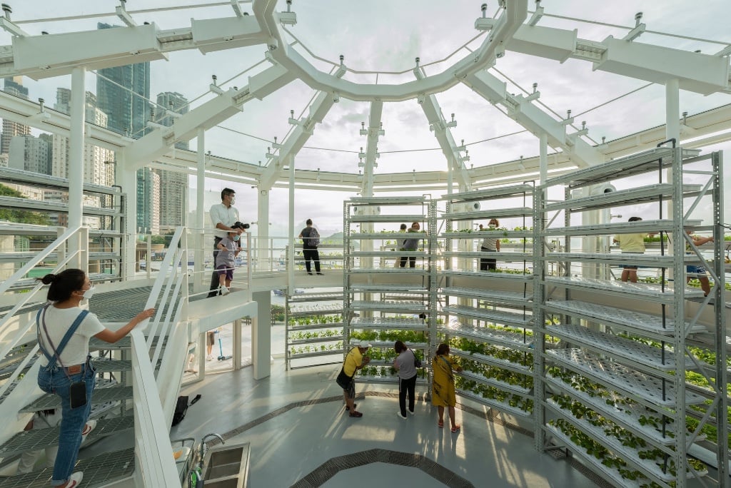 Avoid Obvious Architects
