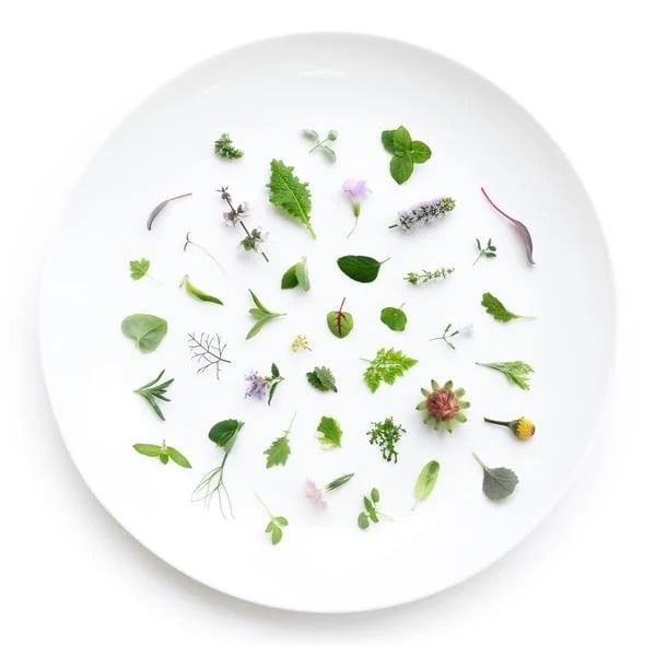 Farm.one, Institute of culinary education 