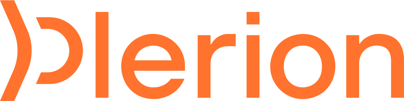 Plerion