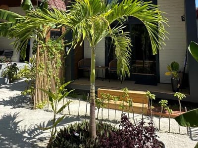 Ambra Maldives photo 5