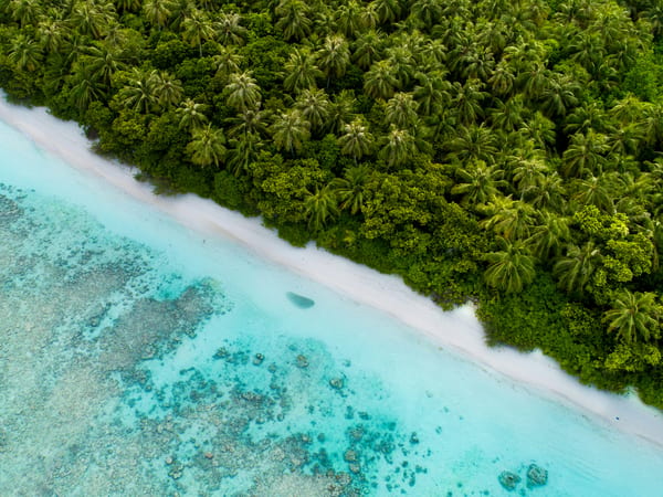 Dhigurah