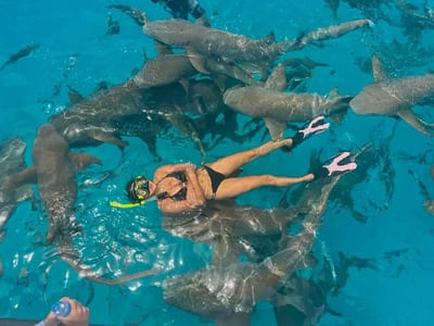 Chambao Maldives photo 5