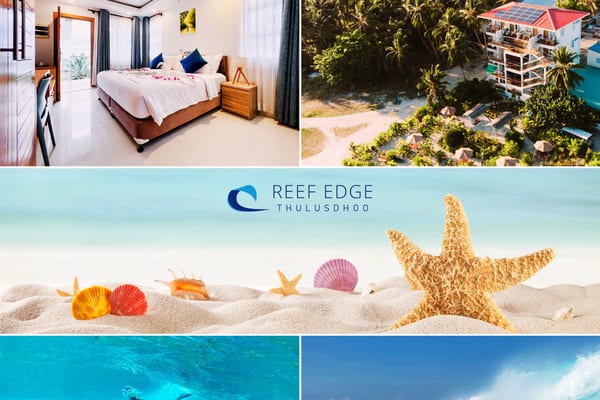 Reef Edge