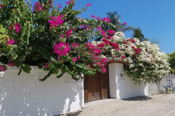Holiday Cottage