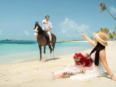 SeasunBeach Maafushi photo 5
