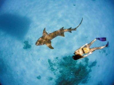 Tides Dhigurah photo 5