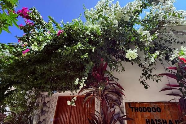 Thoddoo Haisha Inn