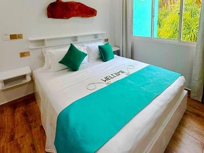 Island Luxury Dive photo 2