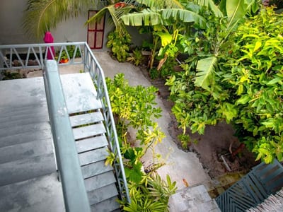 Night Star Dhangethi photo 5