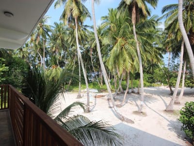 Seena Inn photo 5