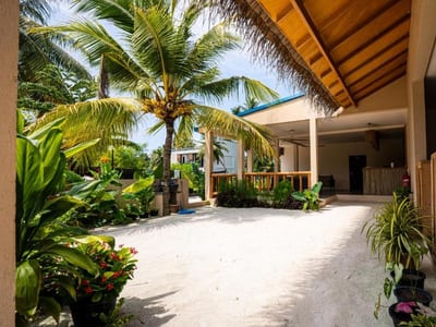 Beach Lily Dhigurah photo 5