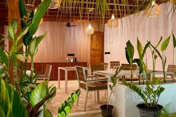 Oasis Dhigurah