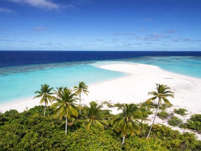 Suncoral Maldives photo 2