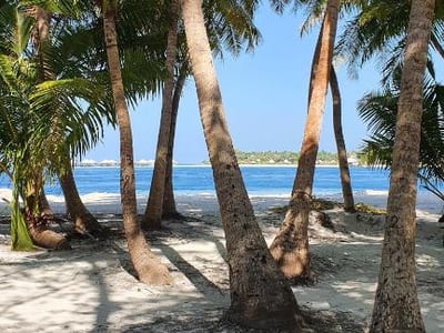 Fehi Velaa Stay photo 5