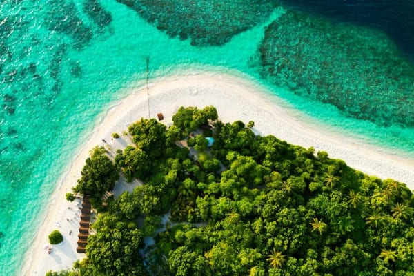 Tropical Escape Inn
