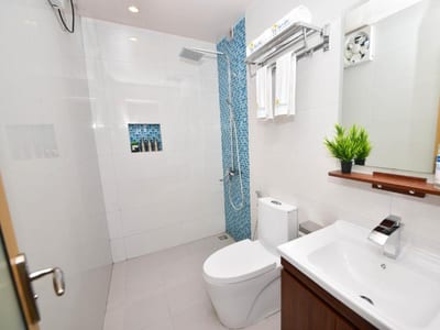 Vilu Thari Inn Maldives photo 3