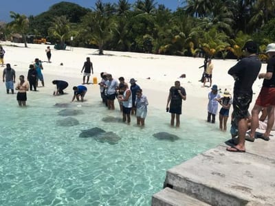 Malas Island View photo 4